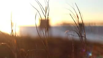 Post 3 by Nalls on YouTube (video)