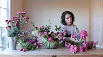 Post 2 by Tulipina on YouTube (video)