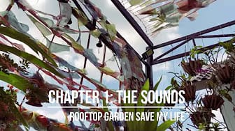 Post 3 by Landscape Design on YouTube (video)