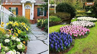 Post 2 by Landscape Design on YouTube (video)