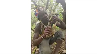 Post 1 by Hadzabe Life on YouTube (video)