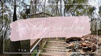 Post 2 by The Curvy Lifestyle Vlog on YouTube (video)
