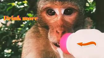 Post 10 by Style Animals on YouTube (video)