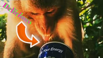 Post 9 by Style Animals on YouTube (video)