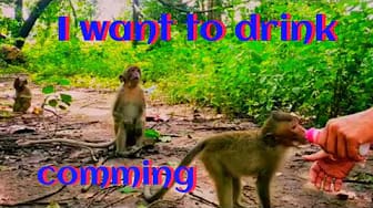 Post 8 by Style Animals on YouTube (video)