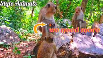 Post 6 by Style Animals on YouTube (video)