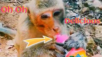 Post 3 by Style Animals on YouTube (video)