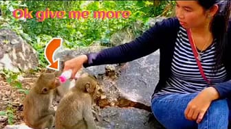 Post 4 by Style Animals on YouTube (video)
