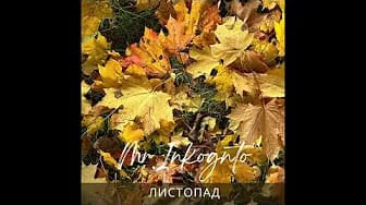 Post 4 by Mr.Inkognito(Instrumental music & relaxing) on YouTube (video)
