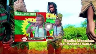 Post 4 by Vibe Ethiopia on YouTube (video)