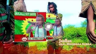 Post 1 by Vibe Ethiopia on YouTube (video)