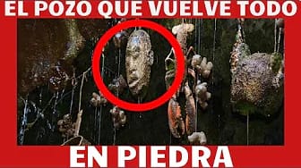 Post 8 by Francisco Mejia on YouTube (video)