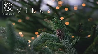 Post 3 by 「Sakura」 桜.Vibes on YouTube (video)
