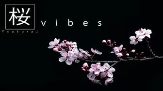Post 4 by 「Sakura」 桜.Vibes on YouTube (video)