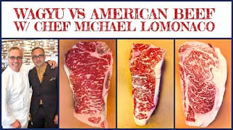 Post 7 by Meat Life on YouTube (video)