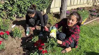 Post 5 by Pham Huong Bee on YouTube (video)