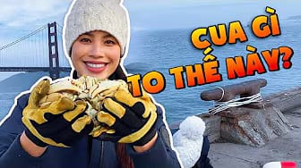 Post 8 by Pham Huong Bee on YouTube (video)