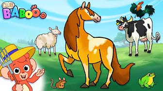 Post 4 by Club Baboo Animals on YouTube (video)