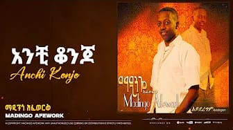 Post 7 by Madingo Afework on YouTube (video)