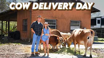 Post 9 by Navigation Farm on YouTube (video)