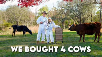 Post 3 by Navigation Farm on YouTube (video)