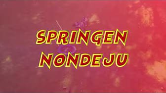 Post 4 by Snollebollekes on YouTube (video)