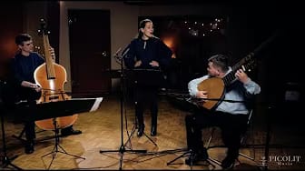 Post 10 by Tineke Roseboom on YouTube (video)