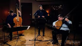Post 7 by Tineke Roseboom on YouTube (video)