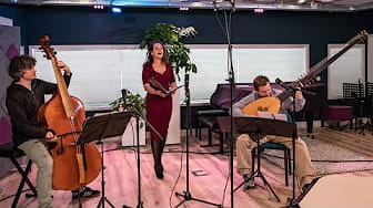 Post 8 by Tineke Roseboom on YouTube (video)