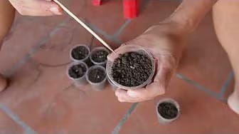 Post 9 by Farm - Garden on YouTube (video)