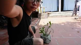 Post 1 by Farm - Garden on YouTube (video)