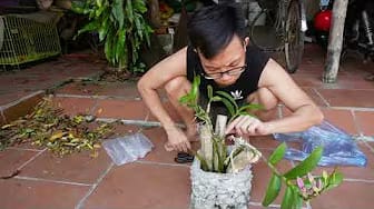 Post 3 by Farm - Garden on YouTube (video)