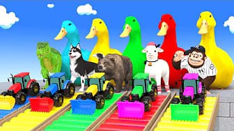 Post 3 by Animals Zoo Animation on YouTube (video)