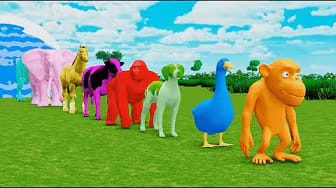 Post 9 by Animals Zoo Animation on YouTube (video)