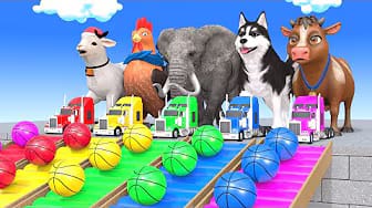 Post 5 by Animals Zoo Animation on YouTube (video)