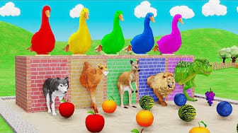 Post 2 by Animals Zoo Animation on YouTube (video)