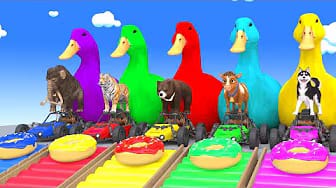 Post 4 by Animals Zoo Animation on YouTube (video)