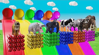 Post 1 by Animals Zoo Animation on YouTube (video)