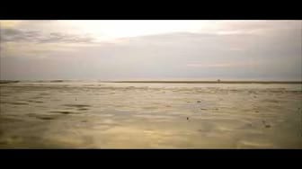 Post 9 by Mr JOJO Official movie on YouTube (video)