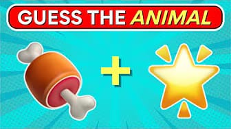 Post 3 by Quiz Sizzle on YouTube (video)
