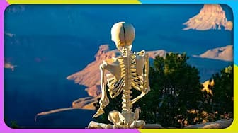 Post 4 by Zaltoman AFK on YouTube (video)
