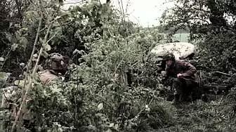 Post 6 by timbrug2000 on YouTube (video)