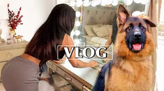Post 4 by Constance Connie on YouTube (video)