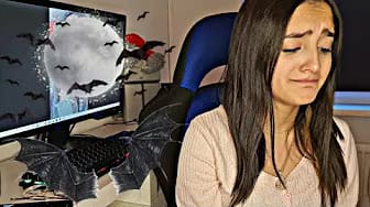 Post 5 by FFATIMA SAIF on YouTube (video)