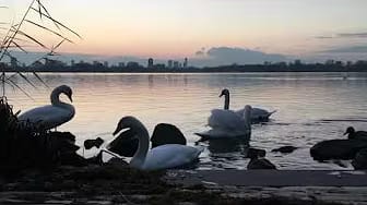 Post 3 by Deborah de Meijer on YouTube (video)