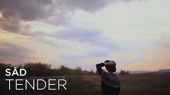 Post 9 by SAD on YouTube (video)