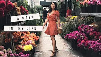 Post 4 by LifeAnnStyle on YouTube (video)