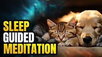 Post 3 by Brain Heart Fusion on YouTube (video)
