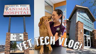 Post 8 by Julie Gomez on YouTube (video)