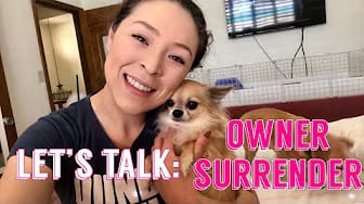 Post 4 by Julie Gomez on YouTube (video)
